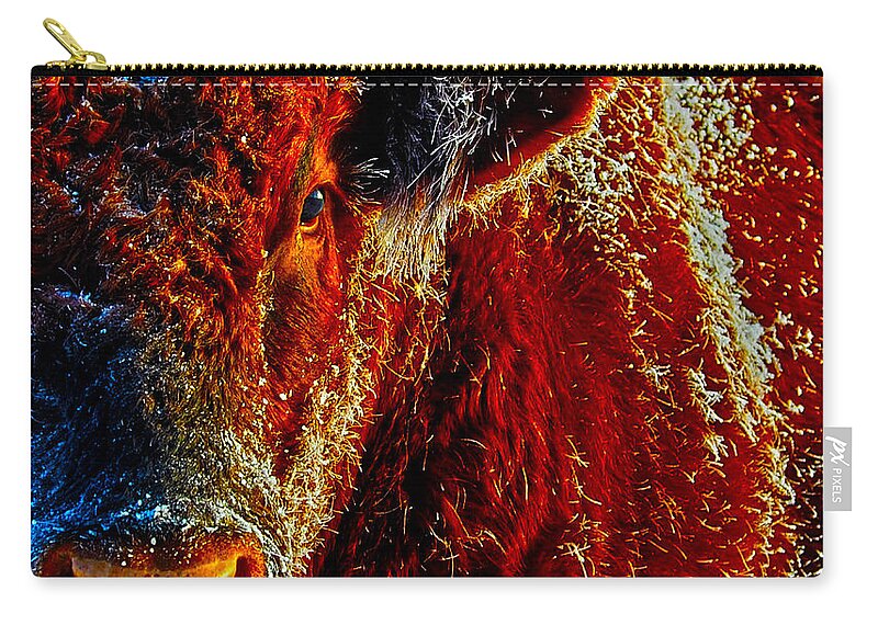 Hdr Carry-all Pouch featuring the photograph Bull on Ice by Amanda Smith