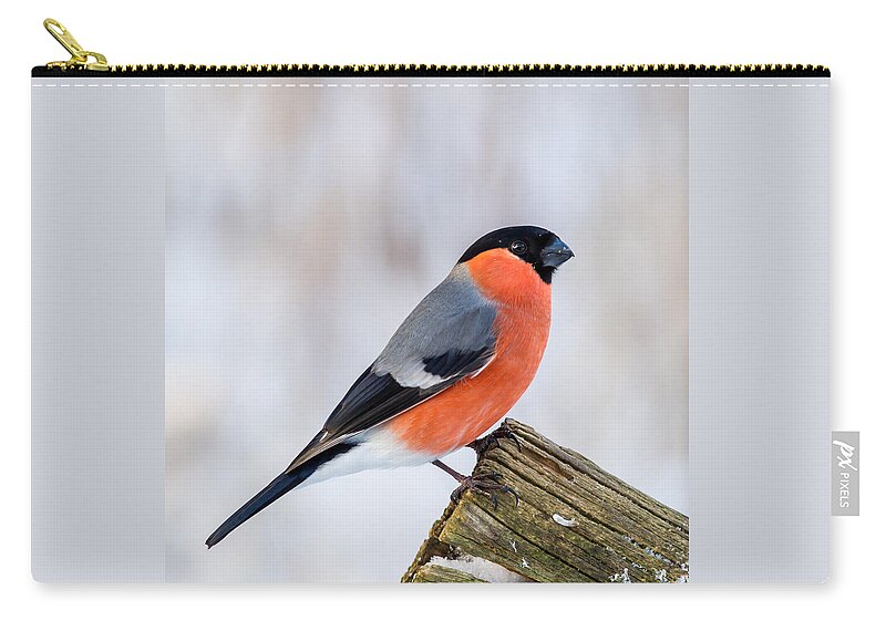 Bullfinch On The Edge Carry-all Pouch featuring the photograph Bullfinch on the Edge by Torbjorn Swenelius
