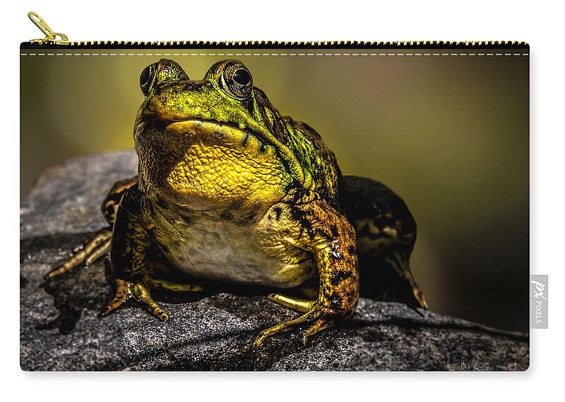 Frog Zip Pouch featuring the photograph Bullfrog Watching by Bob Orsillo