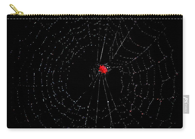 Spider Zip Pouch featuring the photograph Bulls-eye by Lucy VanSwearingen