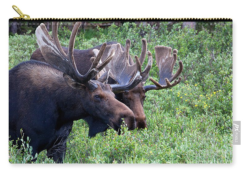Moose; Moose Photograph Zip Pouch featuring the photograph Bulls of the Woods by Jim Garrison
