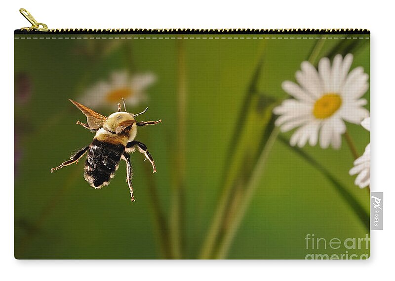 Bee Zip Pouch featuring the photograph Bumblebee In Flight by Scott Linstead