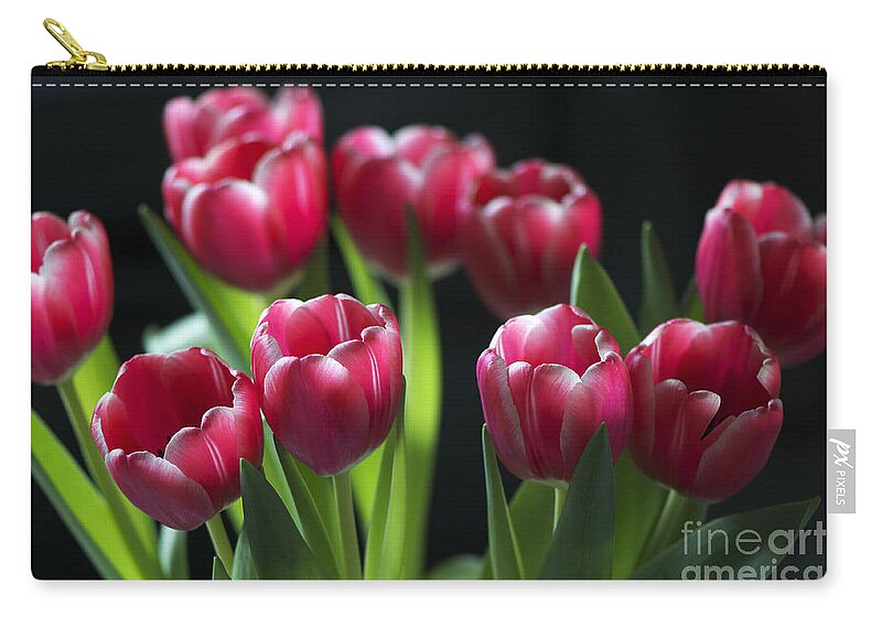 Tulips Zip Pouch featuring the photograph Bunch of Tulips by Sharon Talson
