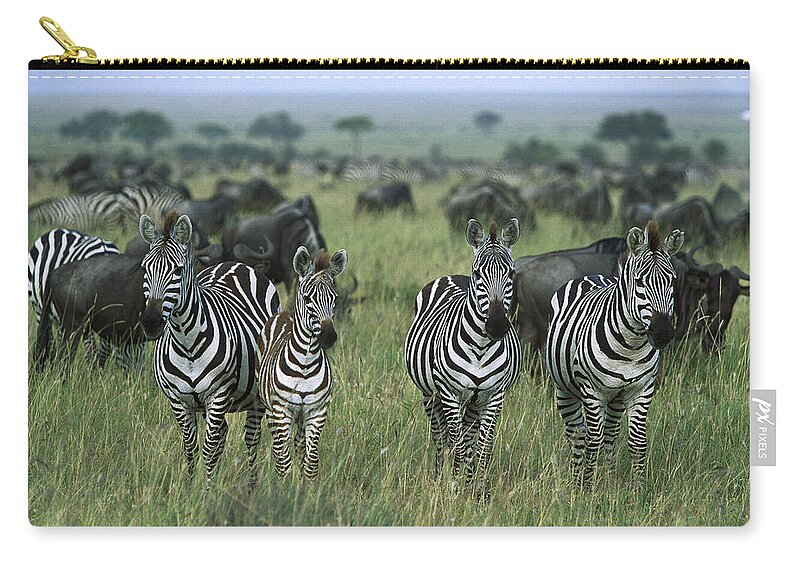 Feb0514 Zip Pouch featuring the photograph Burchells Zebras And Wildebeest by Konrad Wothe