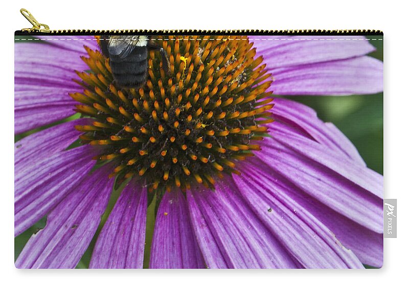 Medicinal Zip Pouch featuring the photograph Busy Bee by Deborah Klubertanz