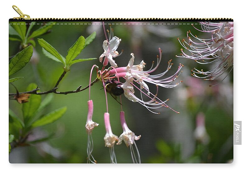 Busy Zip Pouch featuring the photograph Busy Bee by Tara Potts