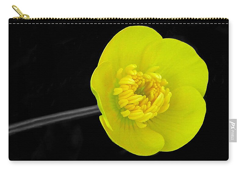 Buttercup Zip Pouch featuring the photograph Buttercup by Lisa Phillips