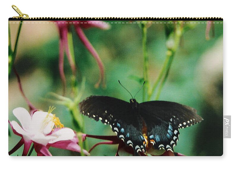 Butterfly Zip Pouch featuring the photograph Butterfly and Pink Columbine by Heather Kirk
