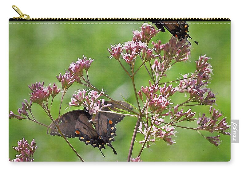 Butterfly Zip Pouch featuring the photograph Butterfly Duet by Kerri Farley