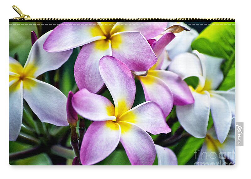 Butterfly Flowers Zip Pouch featuring the photograph Butterfly Flowers by Thomas Woolworth