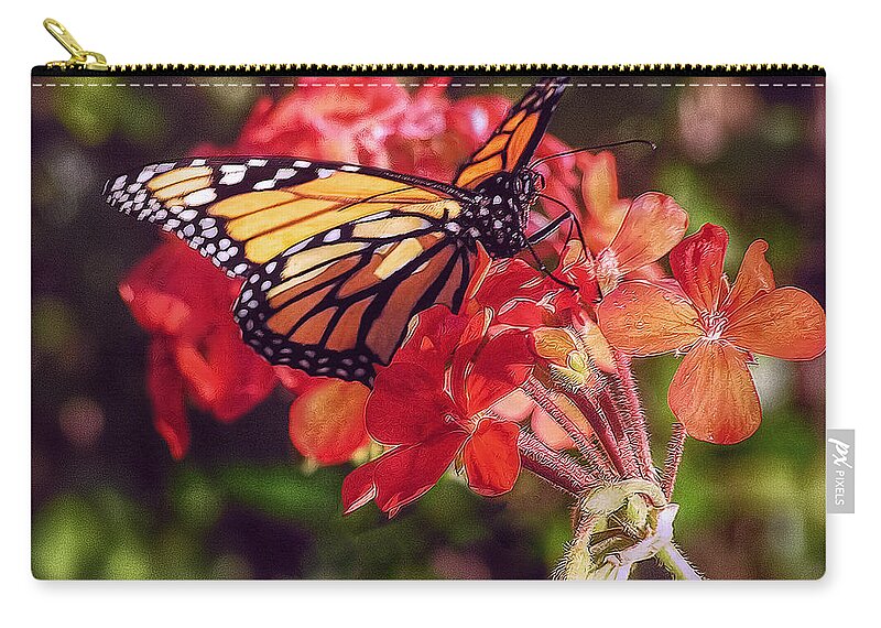 Butterfly Zip Pouch featuring the photograph Butterfly by Hanny Heim