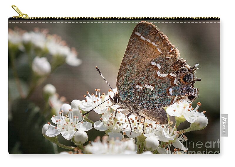 Flowers Zip Pouch featuring the photograph Butterfly In The Garden by Todd Blanchard