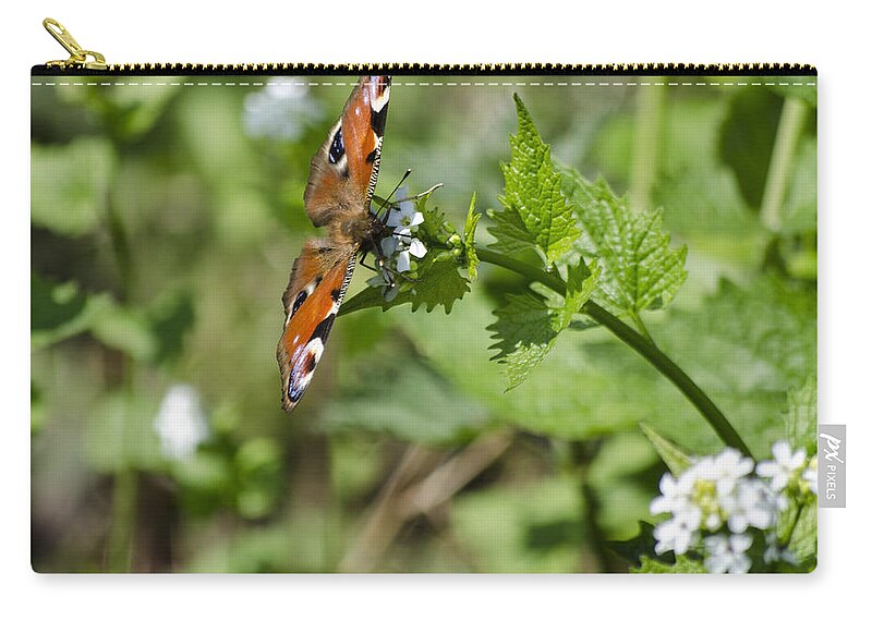 Butterfly Carry-all Pouch featuring the photograph Butterfly by Spikey Mouse Photography
