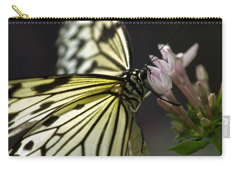 Butterfly Nature Flower Background Insect Beauty Spring Abstract Green Floral Illustration Plant Summer Leaf Vector Design Color Art Animal Wing Tree Black Fly Love Garden Beautiful Silhouette Decoration White Grunge Zip Pouch featuring the photograph Butteryfly by John Swartz