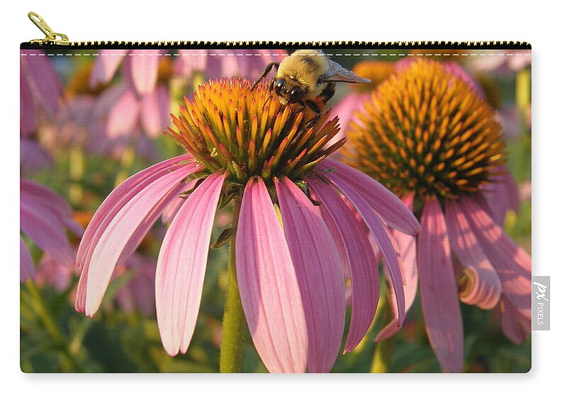Bee Zip Pouch featuring the photograph Bzzzy Coneflowers by Caryl J Bohn
