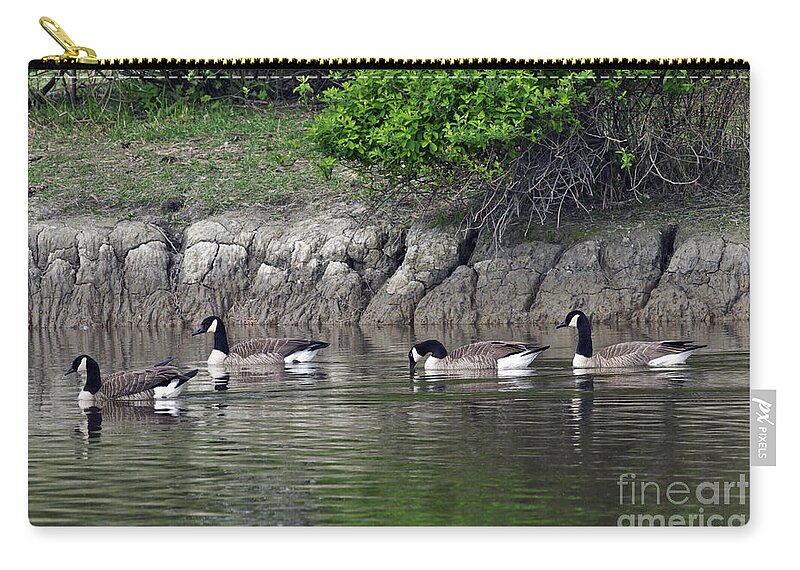 Cackling Geese Zip Pouch featuring the photograph Cackling Geese 2 by Sharon Talson
