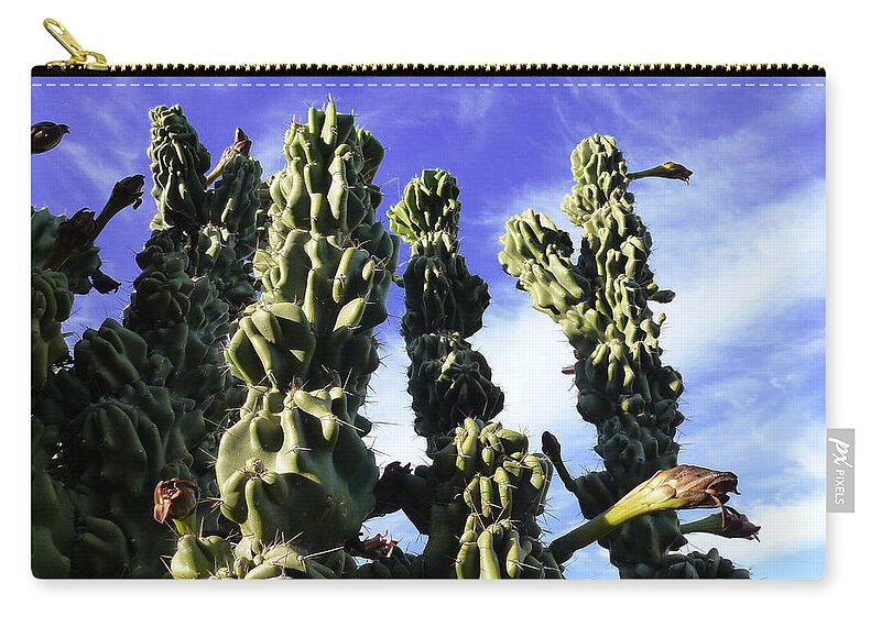 Cactus Zip Pouch featuring the photograph Cactus 2 by Mariusz Kula