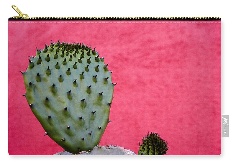 Tucson Zip Pouch featuring the photograph Cactus and Pink Wall by Carol Leigh