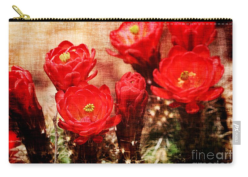Cactus Zip Pouch featuring the photograph Cactus Flowers by Julie Lueders 