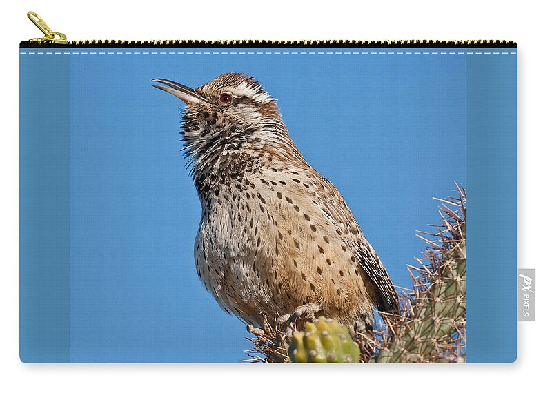 Animal Carry-all Pouch featuring the photograph Cactus Wren Singing by Jeff Goulden