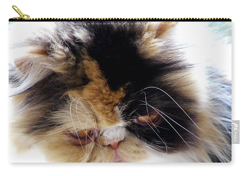 Nature Zip Pouch featuring the photograph Cali the Dreamer by Rhonda McDougall