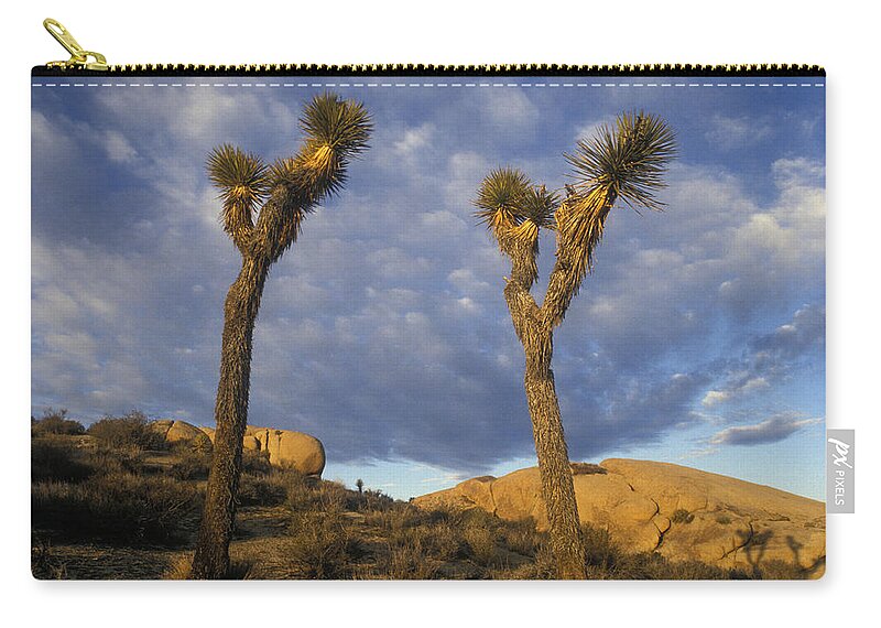 California Zip Pouch featuring the photograph California Desert by Scott Warren