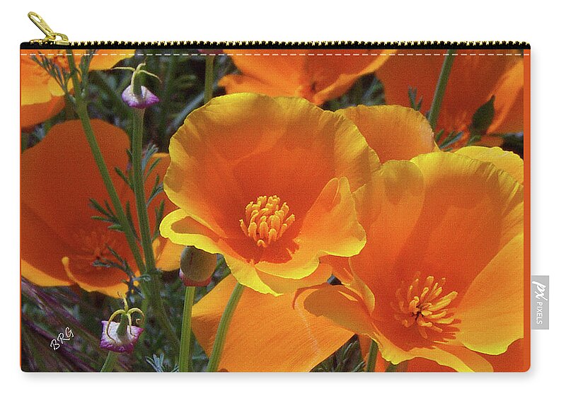 California Poppy Zip Pouch featuring the photograph California Poppies by Ben and Raisa Gertsberg