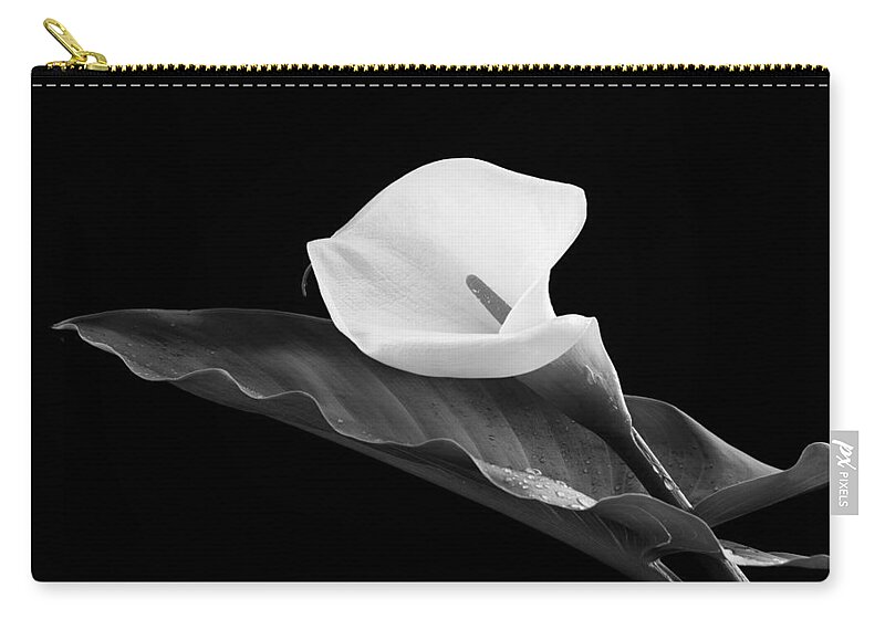 Calla Lili Carry-all Pouch featuring the photograph Calla lily flower by Michalakis Ppalis