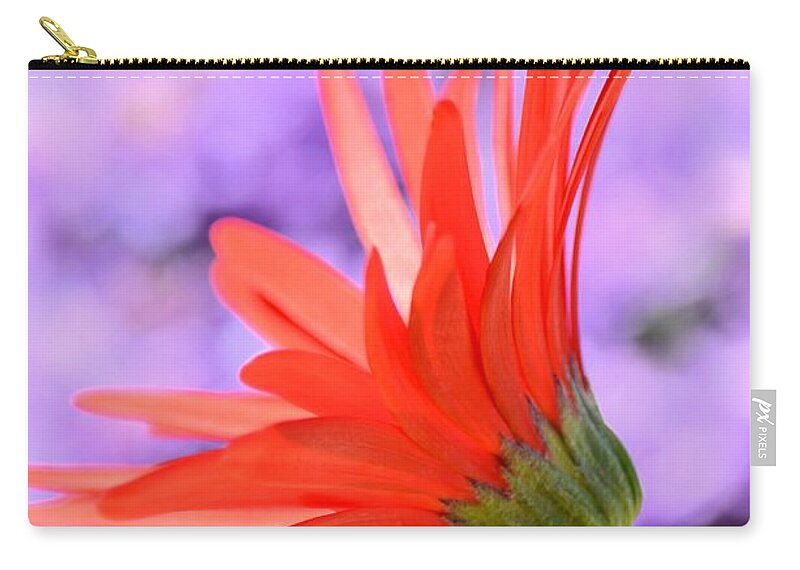 Calling On The Sun Zip Pouch featuring the photograph Calling on the Sun by Maria Urso