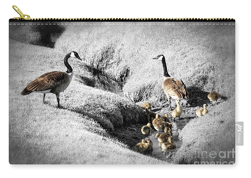Goose Zip Pouch featuring the photograph Canada geese family by Elena Elisseeva