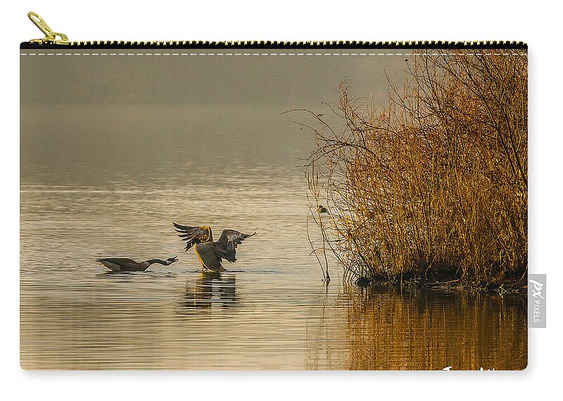 Mt Normandale Lake Zip Pouch featuring the photograph Canadian Geese in the Morning Sun by Joan Wallner