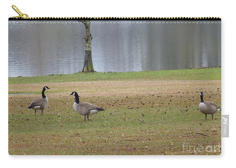 Tree Zip Pouch featuring the photograph Canadian Geese Tourists by Joseph Baril