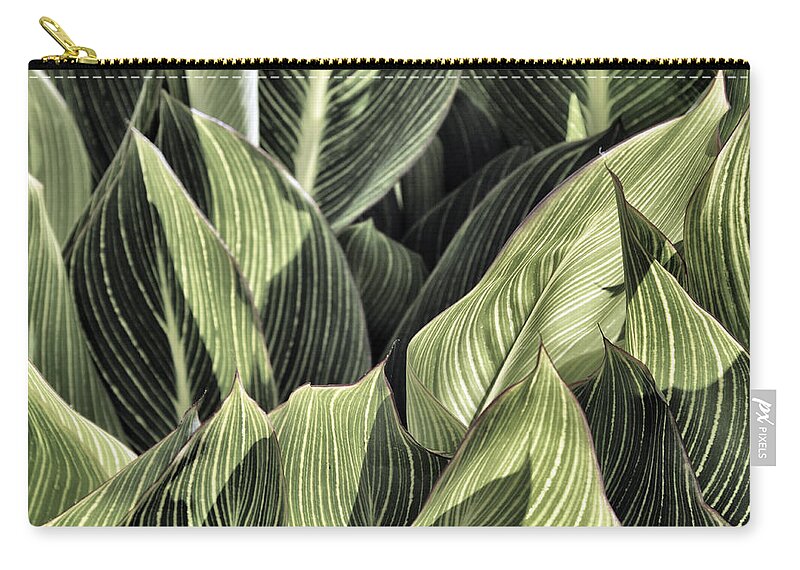 Canna Zip Pouch featuring the photograph Canna Lilies by Jason Politte