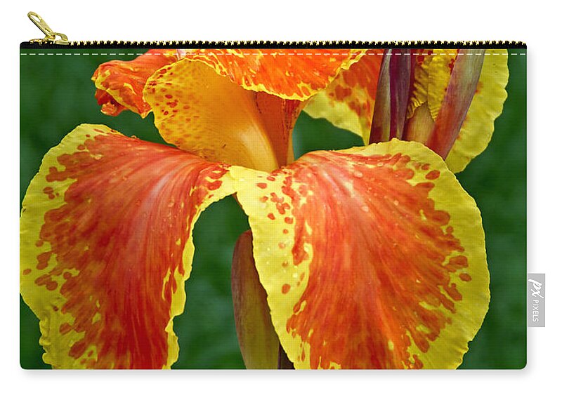 Macro Zip Pouch featuring the photograph Canna Lily Portrait by Pete Trenholm