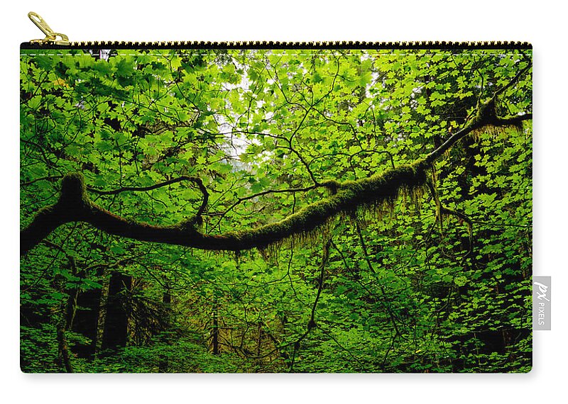 Washington Zip Pouch featuring the photograph Canopy by Dustin LeFevre