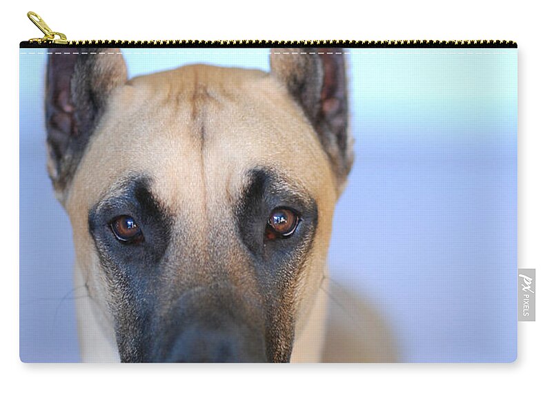 Animal Zip Pouch featuring the photograph Cappy by Lisa Phillips