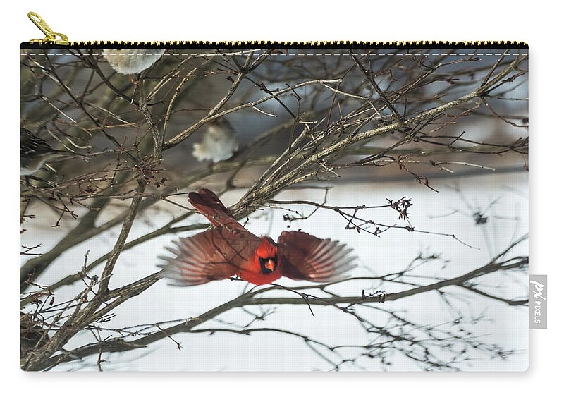 Jan Holden Carry-all Pouch featuring the photograph Cardinal in Flight by Holden The Moment