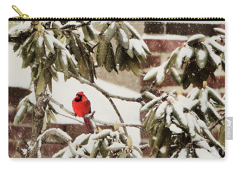 Cardinal Zip Pouch featuring the photograph Cardinal In Snow by Beth Ferris Sale