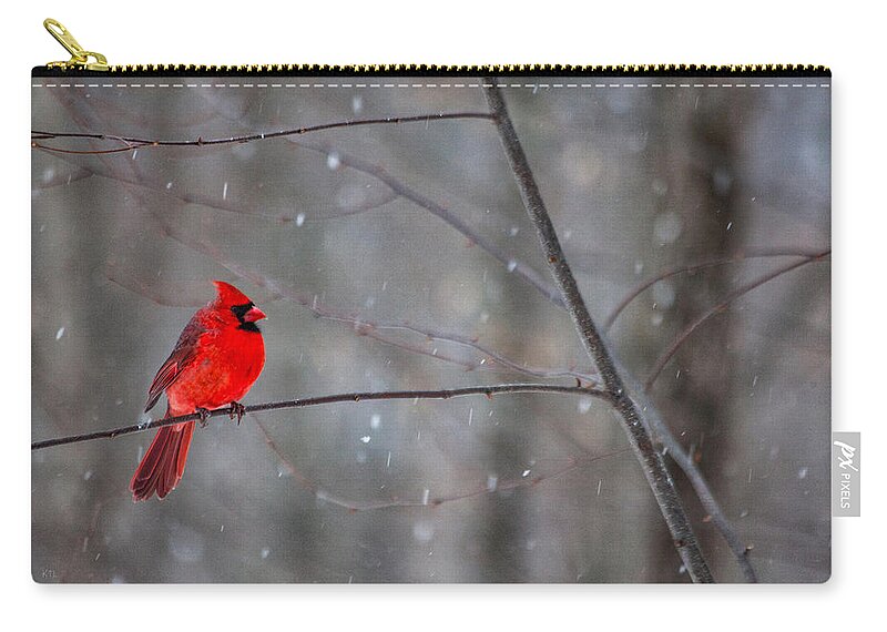 Snowy Cardinal Zip Pouch featuring the photograph Cardinal In The Snow by Karol Livote