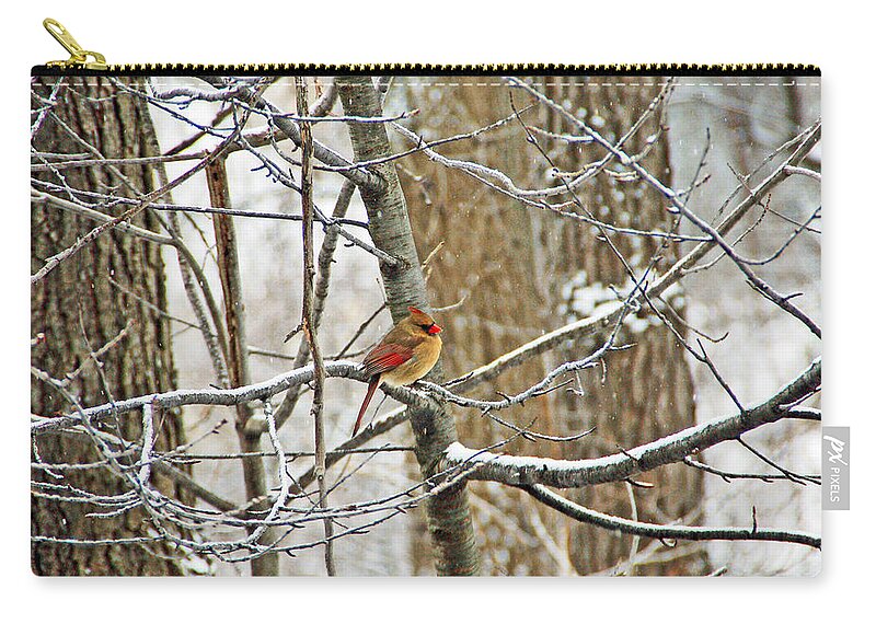 Bird Zip Pouch featuring the photograph Cardinal in Winter by Aimee L Maher ALM GALLERY