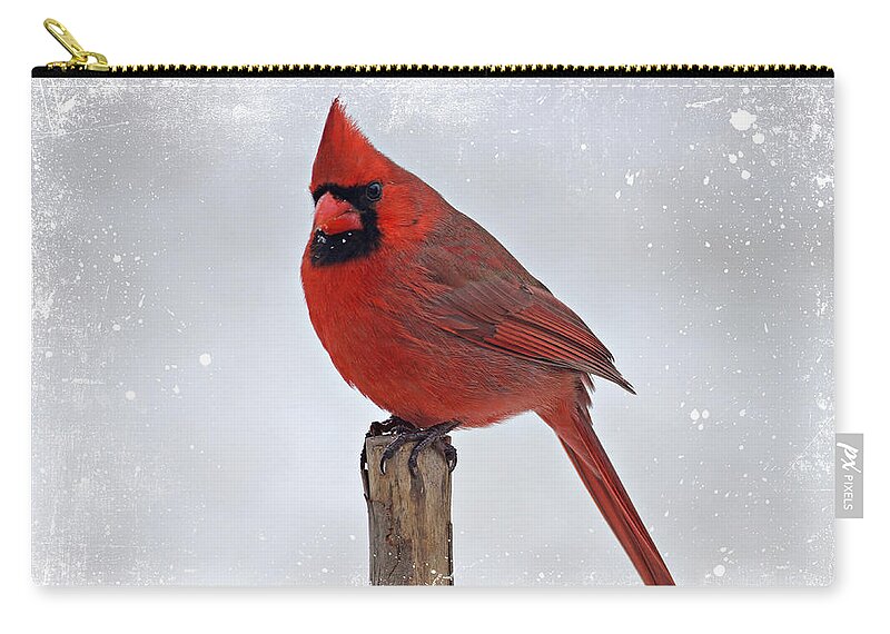 Cardinal Zip Pouch featuring the photograph Cardinal Perching by Sandy Keeton