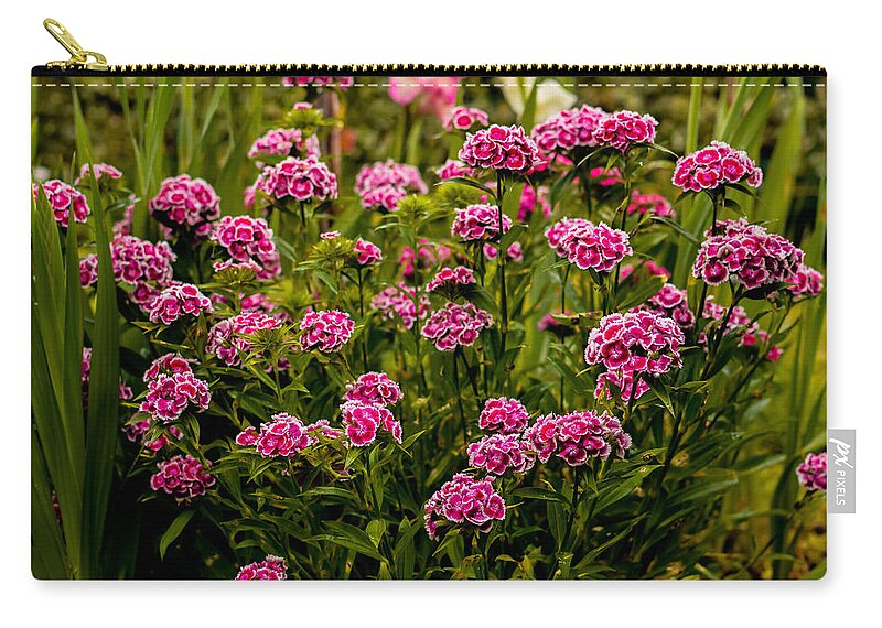 Pink Zip Pouch featuring the photograph Carnations by Marco Oliveira