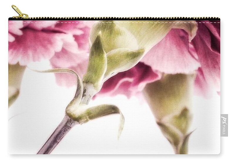 Modern Zip Pouch featuring the photograph Carnations by Priska Wettstein