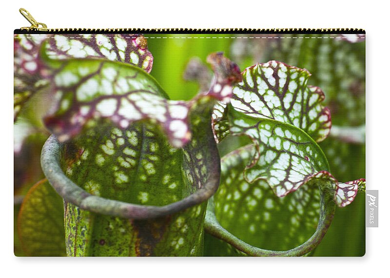 Flora Zip Pouch featuring the photograph Carnivorous plants by Heiko Koehrer-Wagner