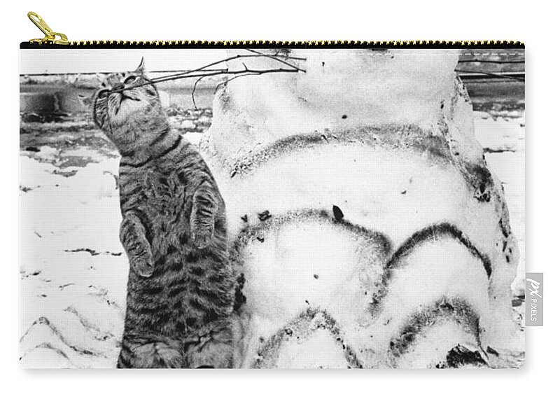 Animal Zip Pouch featuring the photograph Cat And Snowcat by Jack Rosen
