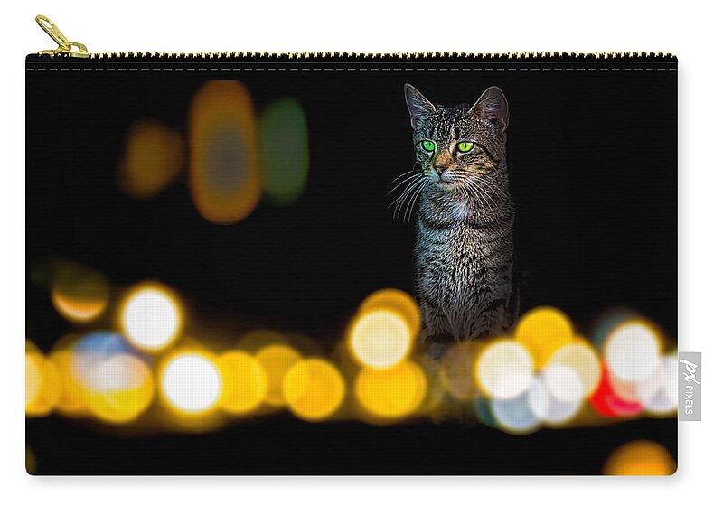 Cat Zip Pouch featuring the photograph Cat In The Window Color Version by Bob Orsillo