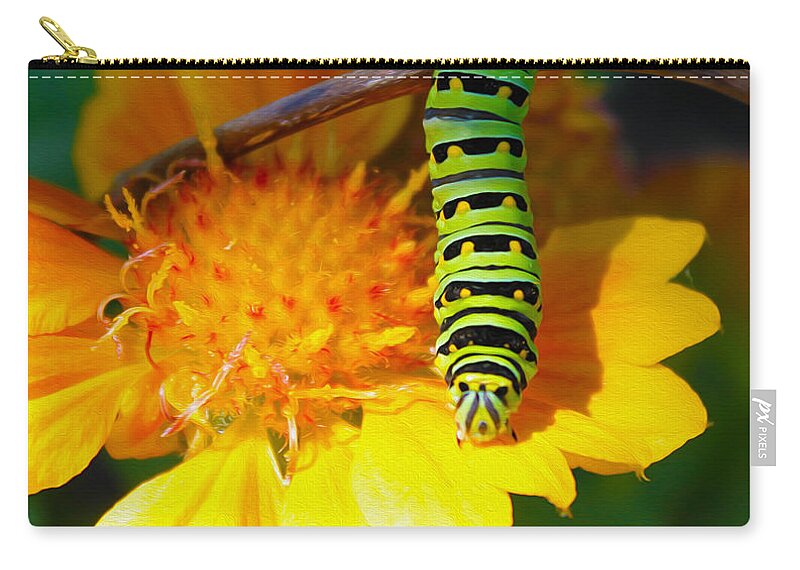 Nature Zip Pouch featuring the photograph Caterpillar On The Prowl by Nina Silver