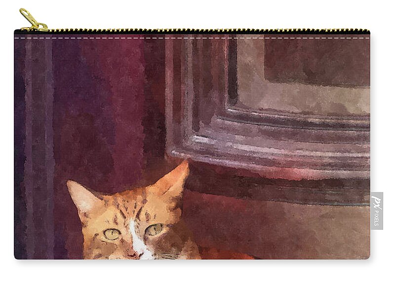 Cat Zip Pouch featuring the photograph Cats - Orange Tabby in Doorway by Susan Savad