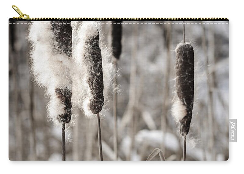 Cattails Zip Pouch featuring the photograph Cattails in winter by Elena Elisseeva