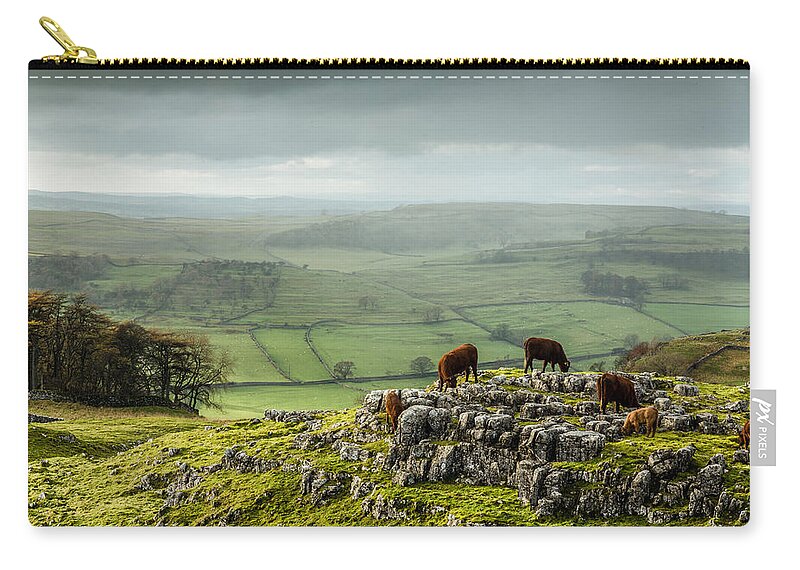 Animals Zip Pouch featuring the photograph Cattle in the Yorkshire Dales by Sue Leonard